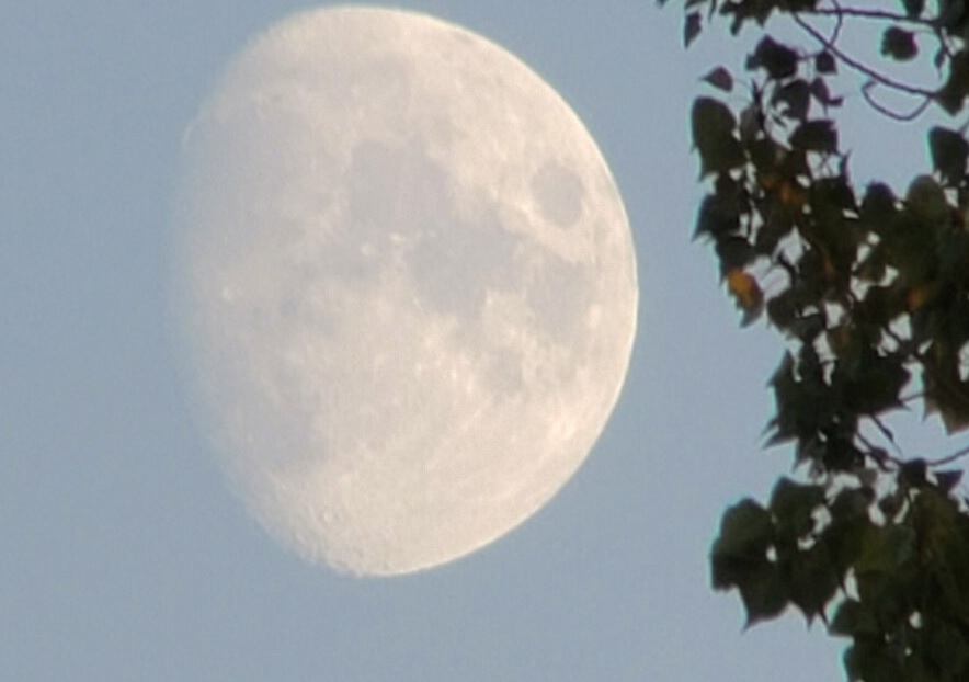 moon